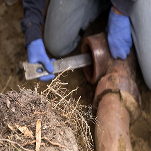 Image for Northwest Sewer, Inc. with ID of: 2725285