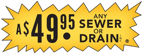 Image for 49.95 Any Sewer or Drain with ID of: 2725760