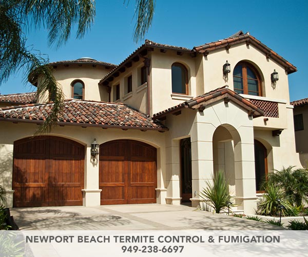 Image for Newport Beach Termite Control & Fumigation with ID of: 2727325