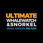 Image for Ultimate Whale Watching & Snorkel with ID of: 2727724