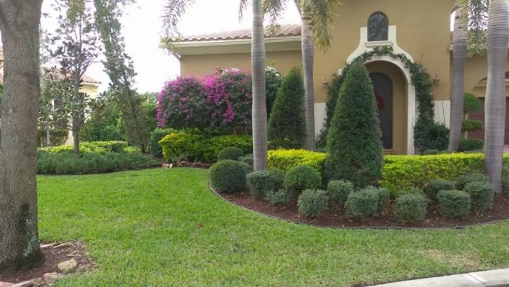 Image for Boca Raton Landscape Design with ID of: 2728033
