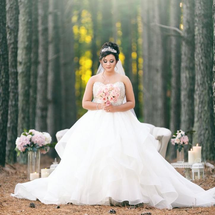 Image for Ken Thomas Photography with ID of: 2729805
