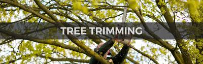 Image for Tree service Riverside with ID of: 2730962