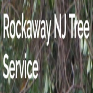 Image for Rockaway NJ Tree Service with ID of: 2731529