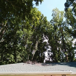 Image for Rockaway NJ Tree Service with ID of: 2731530