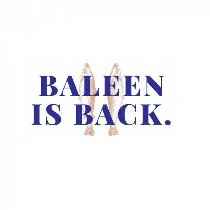 Image for BALEENKitchen with ID of: 2732075