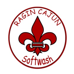 Image for Ragin Cajun Softwash LLC with ID of: 2732158
