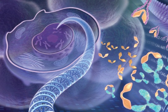 Image for Poly Adenosine Diphosphate Ribose Polymerase Market – Size, Growth and Analysis, 2026 with ID of: 2732976