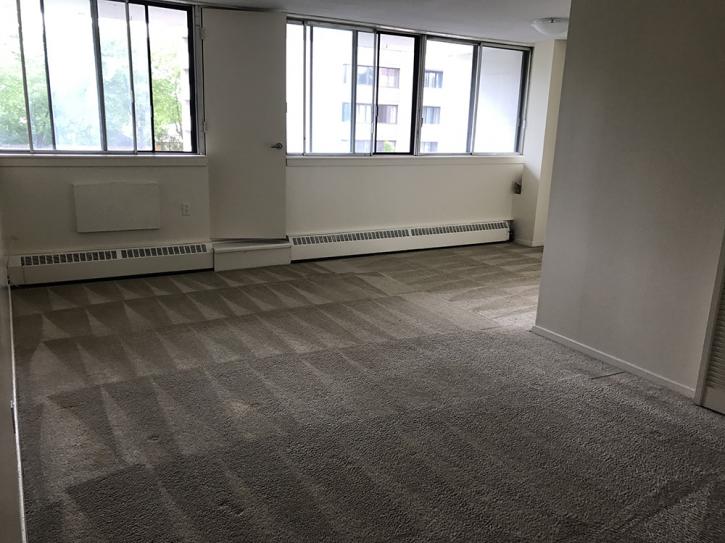 Image for Why you need professional carpet cleaning in Ottawa with ID of: 2736308