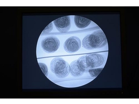 Image for FlexXray with ID of: 2736341