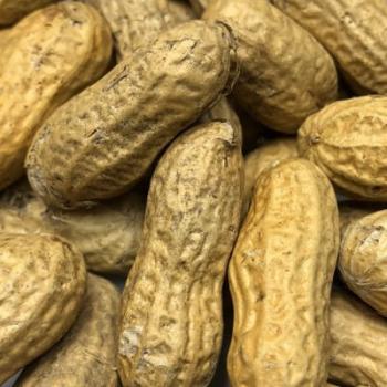 Image for Argires Snacks with ID of: 2736575