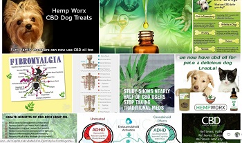 Image for Gen 1:29 CBD Oil with ID of: 2736990
