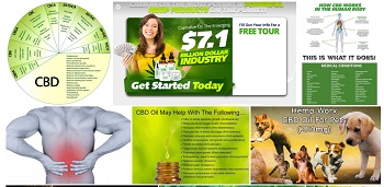 Image for Gen 1:29 CBD Oil with ID of: 2736991