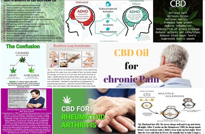 Image for Gen 1:29 CBD Oil with ID of: 2736992
