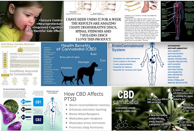 Image for Gen 1:29 CBD Oil with ID of: 2736993