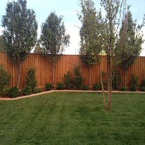 Image for Edmond Fence Service with ID of: 2738518