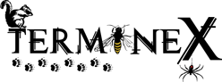 Image for Terminex with ID of: 2740345