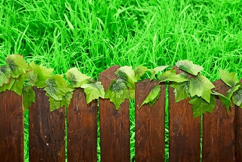 Image for Lawton Fence Service with ID of: 2740459