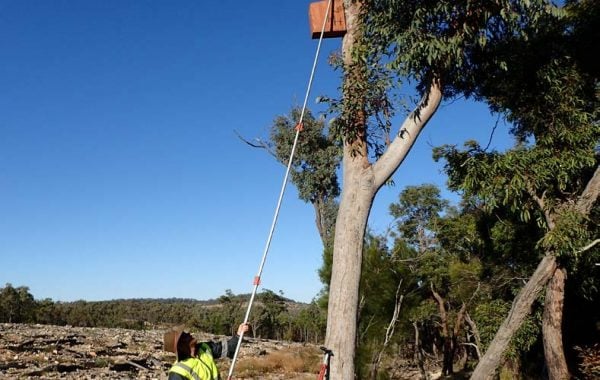 Image for Ausecology - Ecological Consultancy with ID of: 2741821
