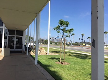 Image for Bail Bonds Lomita with ID of: 2742273