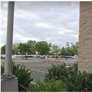 Image for Bail Bonds Diamond Bar with ID of: 2742484