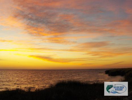 Image for Taylor Creek Resort RV Park with ID of: 2742523