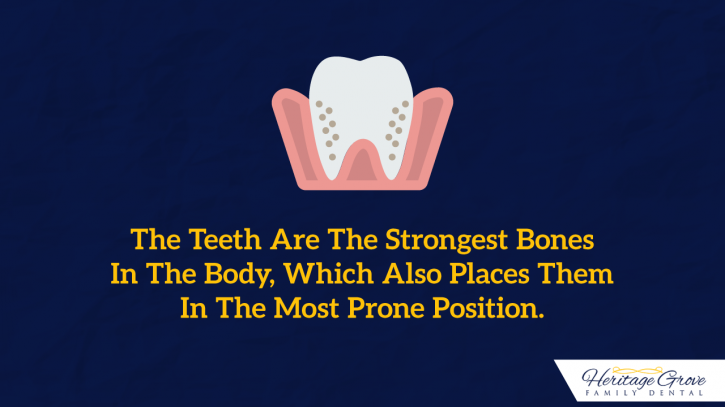 Image for Teeth: The Strongest And The Weakest with ID of: 2745216