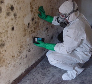 Image for Art Mold Removal (Water damage, Fire damage) with ID of: 2746728