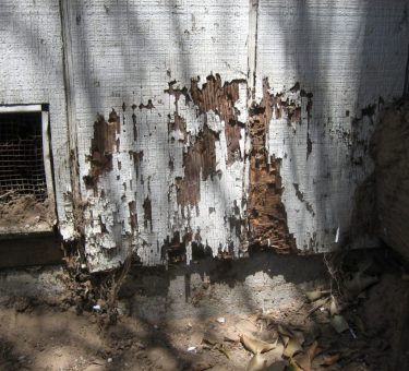 Image for Watchdog Pest Control with ID of: 2749545