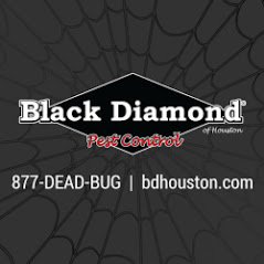 Image for Black Diamond Pest Control with ID of: 2750359