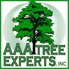 Image for AAA Tree Experts with ID of: 2751177
