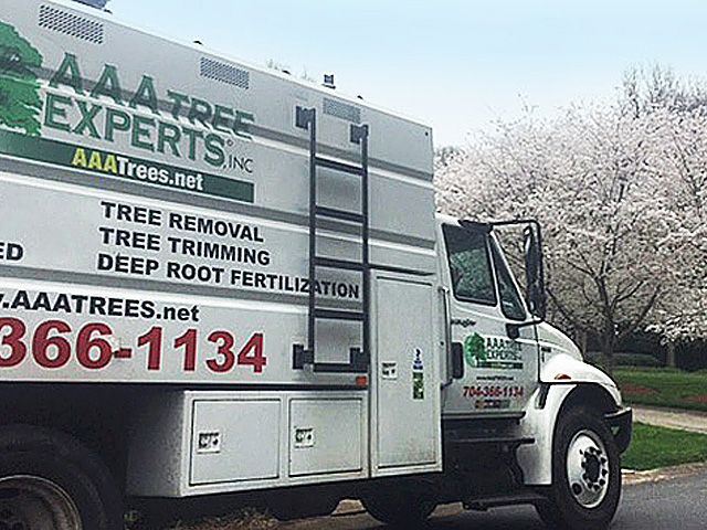 Image for AAA Tree Experts with ID of: 2751182