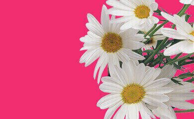 Image for Flower Delivery La Brea with ID of: 2751761