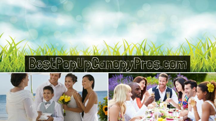 Image for Best Popup Canopy Pros with ID of: 2752082