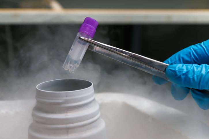 Image for Stem Cell Injections with ID of: 2752576