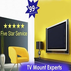 Image for TV Mounting Services And Installation with ID of: 2752721