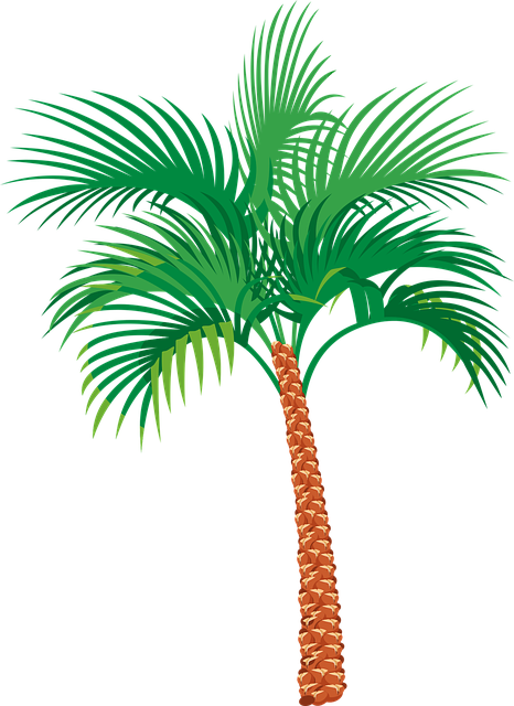 Image for Beachside Web Services with ID of: 2753221
