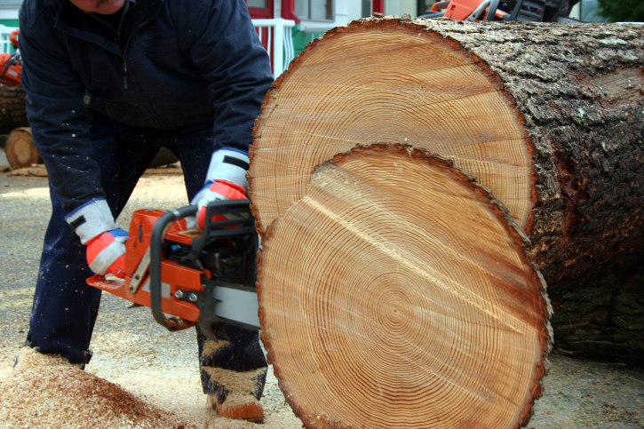Image for Beavercreek Tree Care - Dayton with ID of: 2754326