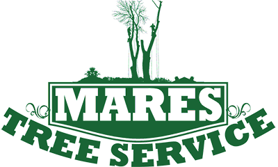 Image for Mares Tree Service with ID of: 2754327