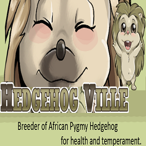 Image for Hedgehog Ville with ID of: 2755650