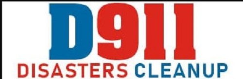 Image for Disasters 911 with ID of: 2755878