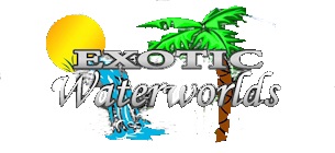 Image for Exotic Waterworlds with ID of: 2756159