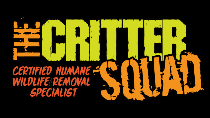 Image for The Critter Squad Inc. with ID of: 2757345