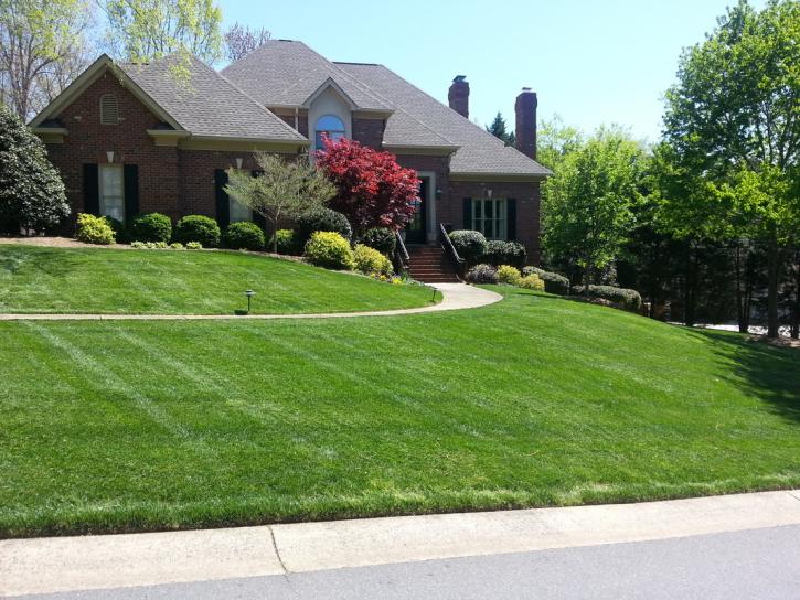 Image for Scott Turf and Landscape with ID of: 2758916