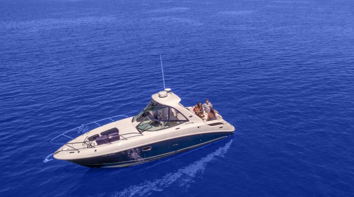 Image for Sea Monkey Private Charters with ID of: 2759700