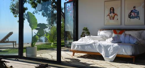 Image for Alterra Pure with ID of: 2759872