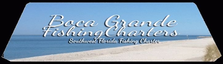 Image for Deep Sea Fishing Charters Boca Granda FL with ID of: 2759928