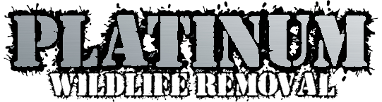 Image for Platinum Wildlife Removal with ID of: 2760072