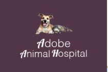 Image for Adobe Animal Hospital with ID of: 2760114