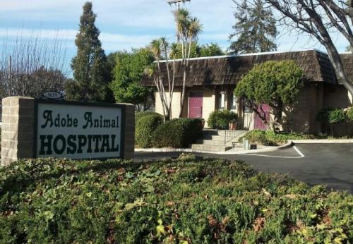 Image for Adobe Animal Hospital with ID of: 2760121
